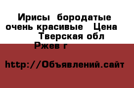 Ирисы  бородатые очень красивые › Цена ­ 150 - Тверская обл., Ржев г.  »    